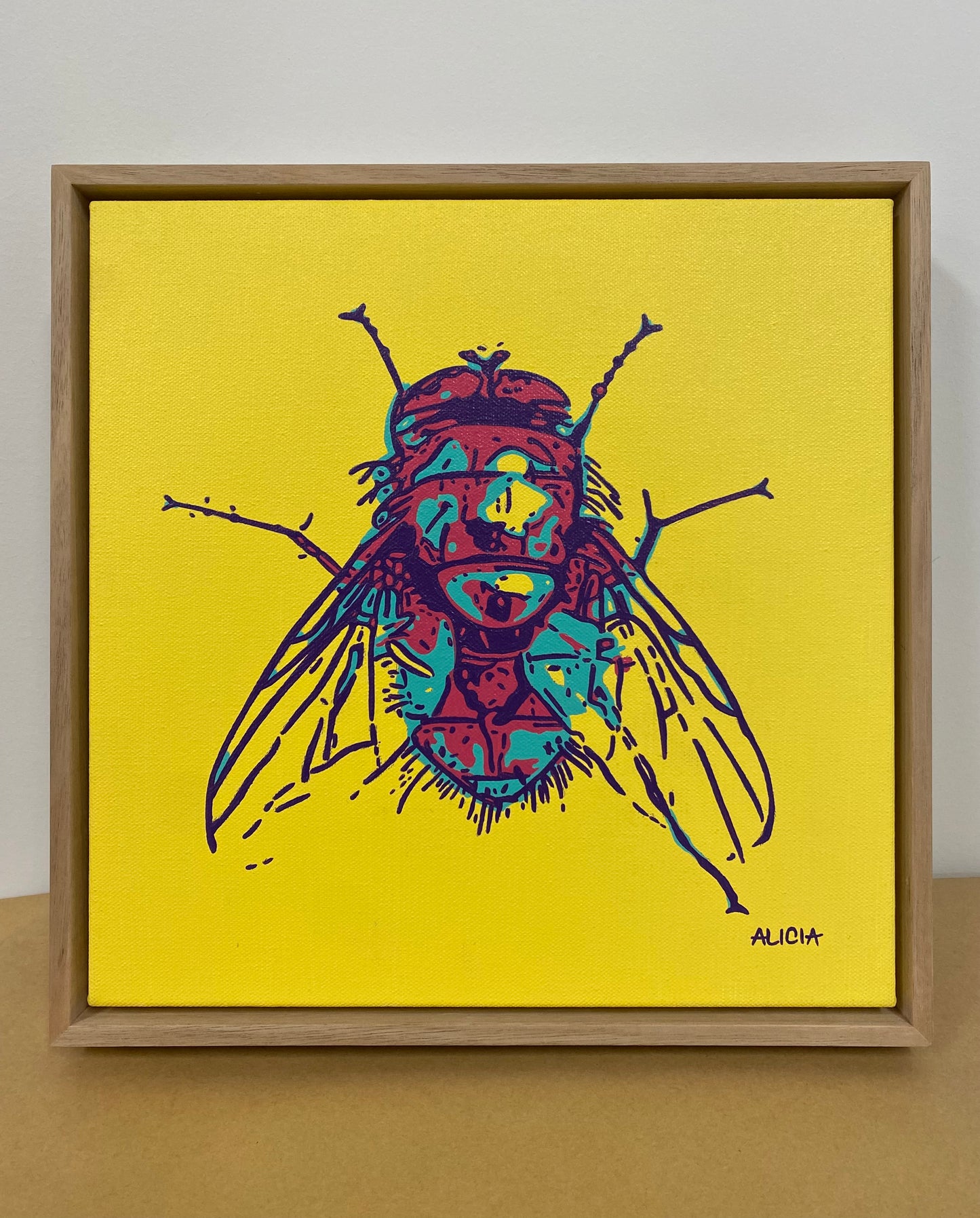 Irregular Fly